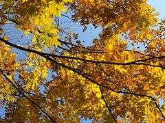 -昆山城市生态森林公园