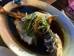 海鲈-喷泉广场餐厅·宵夜·海鲜烧烤大排档(长隆企鹅酒店)