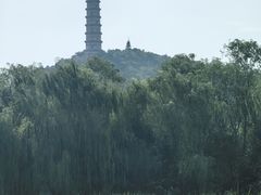 -北坞公园