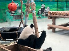 -柳州市动物园