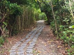 -鹅銮鼻公园