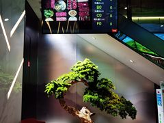 -潮发潮汕牛肉店(永庆坊店)