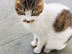 -莲塘味宝园牛杂(天越翔园店)