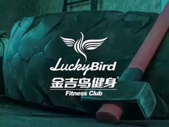 -金吉鸟健身游泳
