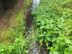 -石燕湖生态旅游景区