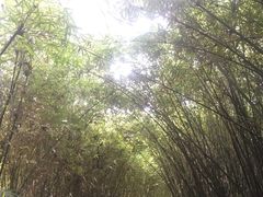 -凤城河风景区