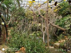 -南通洲际绿博园