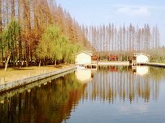 -金岛生态园烧烤露营地