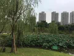 -沐仙湖湿地公园