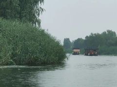 -白洋淀风景区