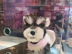 -FAELING PETS美天灵宠物(富力广场店)