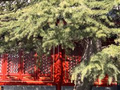 -北京艺术博物馆(万寿寺)