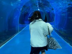 -哈尔滨波塞冬海底世界