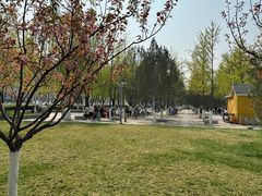 -泉城广场