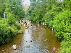 -重庆彩云湖湿地公园