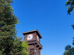 -永定河休闲森林公园