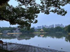 -江心屿景区