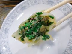 -小叶大馅饺子城