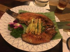 -紫滇源云南生态菜(丹凤街店)