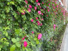 -芳华路(地铁站)