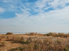 -莲花岛景区