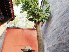 -北京石刻艺术博物馆(五塔寺)