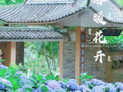 -广西壮族自治区药用植物园