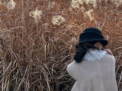 -汉长安城未央宫国家考古遗址公园