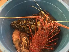 -真浪花园海鲜餐馆