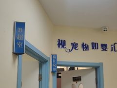 -全心全意连锁动物医院·微创中心·内科急重症·心脏专科(丰管路店)