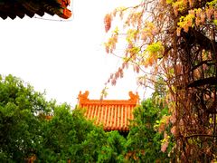 -北京国子监胡同
