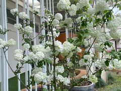 -前小桔亲子创意农场·草莓采摘·露营烧烤