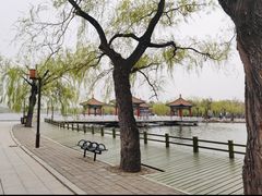 -长春市南湖公园