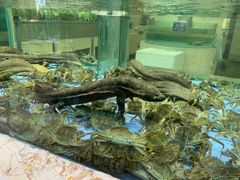 水产区-旺顺阁海鲜广场(亚运村店)