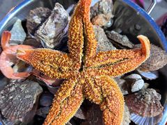 -众想海鲜·烧烤·海肠捞饭·渔家菜(孙家疃店)