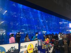 -成都浩海立方海洋公园