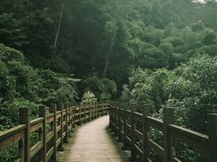 -凤栖山