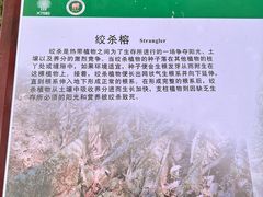 -中国科学院西双版纳热带植物园