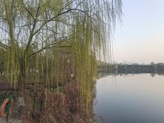 -西安汉城湖景区