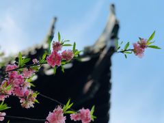 -狼山风景名胜区