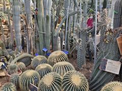 -国家植物园南园