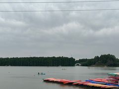 -上海海湾国家森林公园