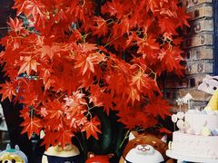 -柴犬高等学院·狗咖·柴犬售卖·宠物训练