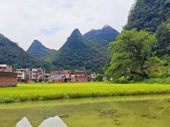-钟山水墨田园