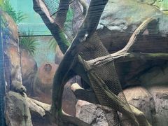 -福州罗源湾海洋世界旅游区