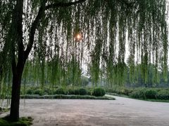 -洛阳市隋唐城遗址植物园
