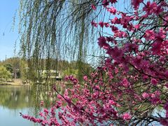 -常德桃花源景区