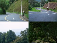 -黄埔油麻山森林公园