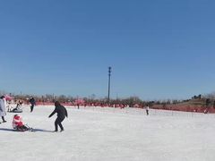 -绿野森林乐园冰雪季