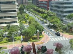 -厦门弘爱医院